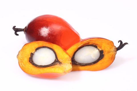Dérivés de Palme propsés par OTIS Afrifoods S.A.