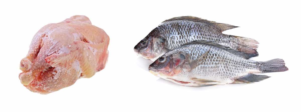 Poulet et poissons congelés parOTIS Afrifoods S.A.