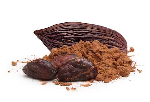 Poudre chocolatée OTIS Afrifoods S.A. vente Afrique
